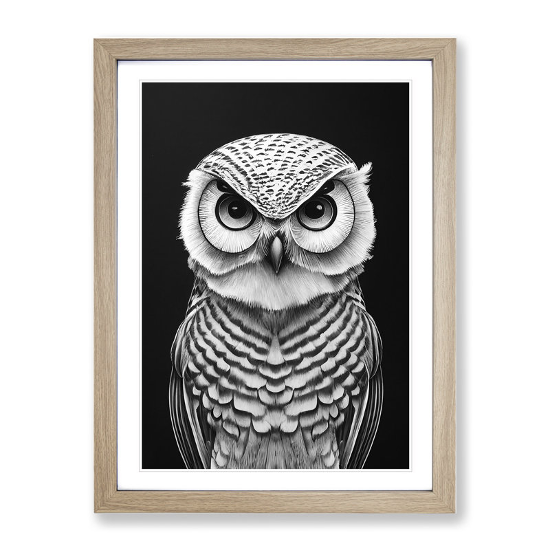 Owl Monochrome No.1 - Framed Print, 34cm H x 25cm W x 2cm D, Oak