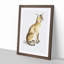 Allied Cat 1 Piece Single Picture Frame Painting-55545031-55545036