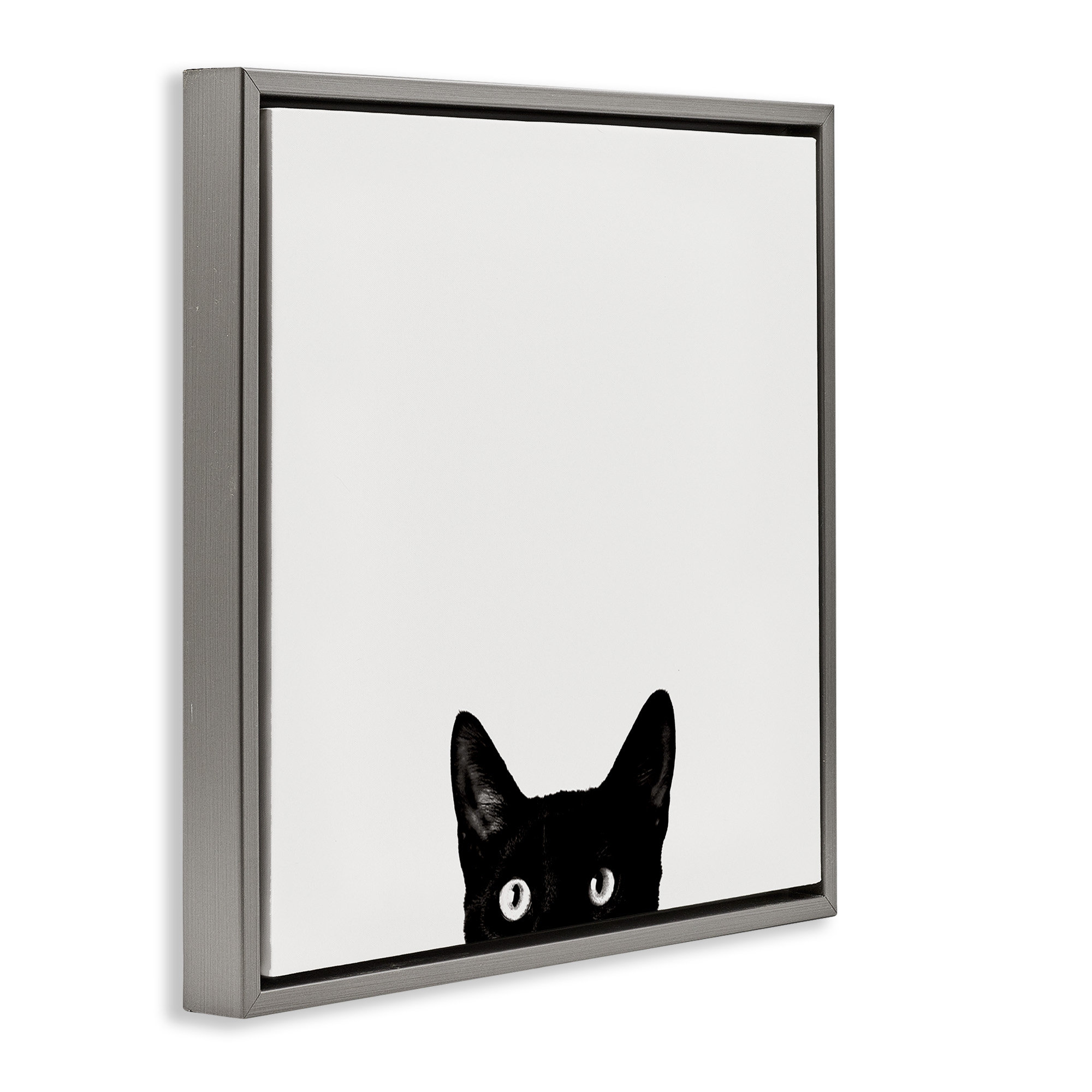 Winston Porter Black Cat Peeking From Below Framed Floater Canvas Wall ...
