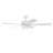 Medberry 60'' Ceiling Fan with LED Lights-53080160