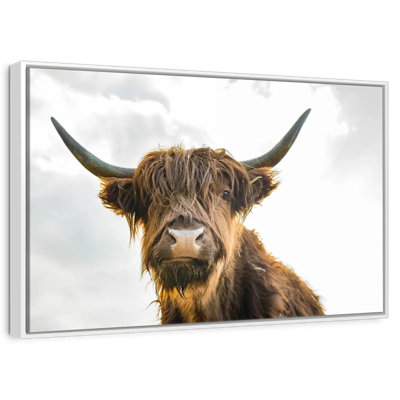 Cow Picture