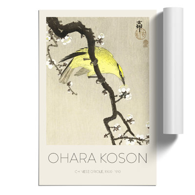 Chinese Oriole Bird on a Plum Blossom Print by Ohara Koson - Frameless Print