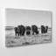 Herd Photographic - Wrapped Canvas-19091107