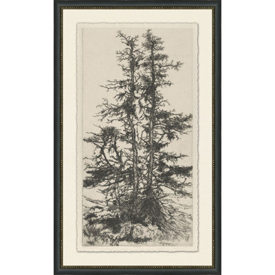Tree Tops " Tree Tops 3 " Print