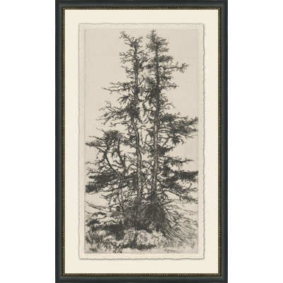 Tree Tops 3 Print