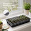 TOQUE Seed Trays 5Pc Clear View With Lids 40 Cell Propagators For Plants Green-136397998-136397999