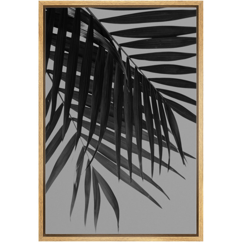 Palm Leaves Intersecting - Photographie flottante sur toile, H 36 po x l 24 po x P 1,5 po, Encadrement brun