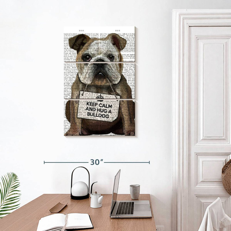 Bouledogue Brampt, H 32 po x l 20 po
