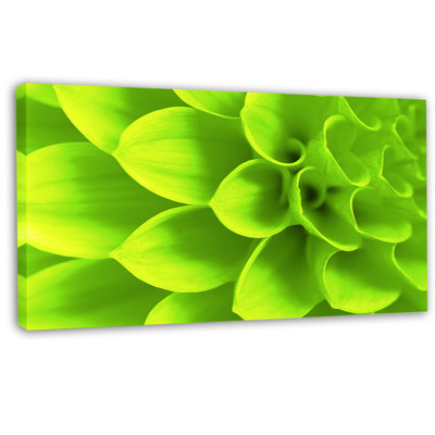 Floral Green Flower Petals Canvas Photograph - Green Petals