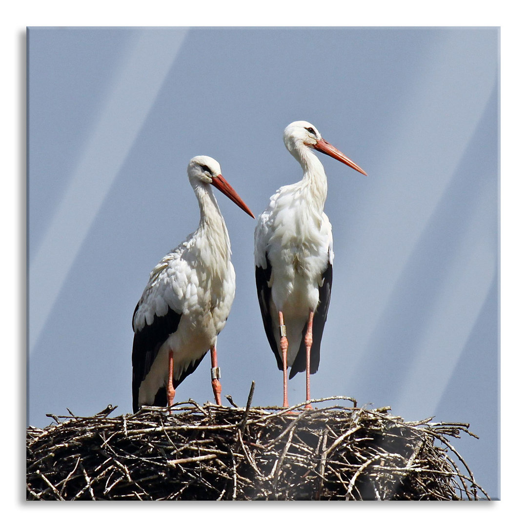 Glasbild "Zwei stolze Störche im Nest"