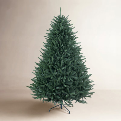 Lighted Christmas Tree