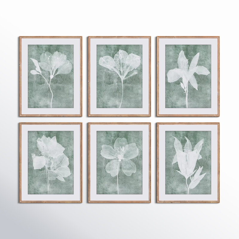 Pinar «Translucent Floral», ensemble de 6 reproductions d'art sur papier encadrées