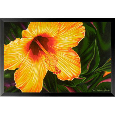 " Hibiscus Flower " by Karl