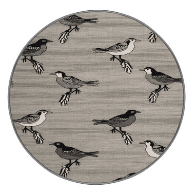  Tapis lavable pour oiseaux communs