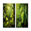 «White White Forest Tranquility - Forest», ensemble de 2 impressions sur toile-102576638-102576642