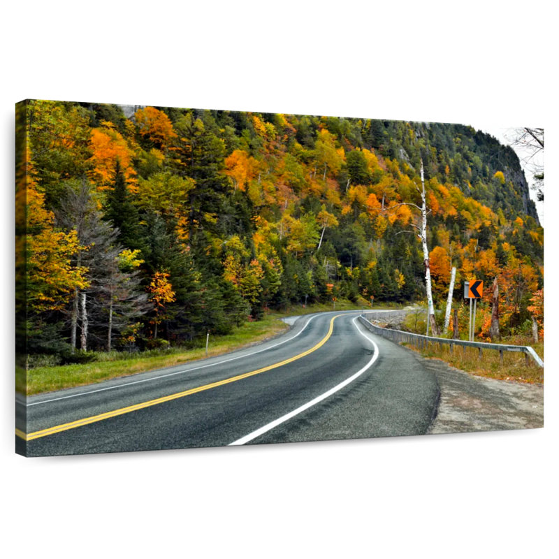 Route d'automne dans la forêt, H 8 po x l 12 po