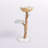 Lina 46'' H Cat Tree-157468692