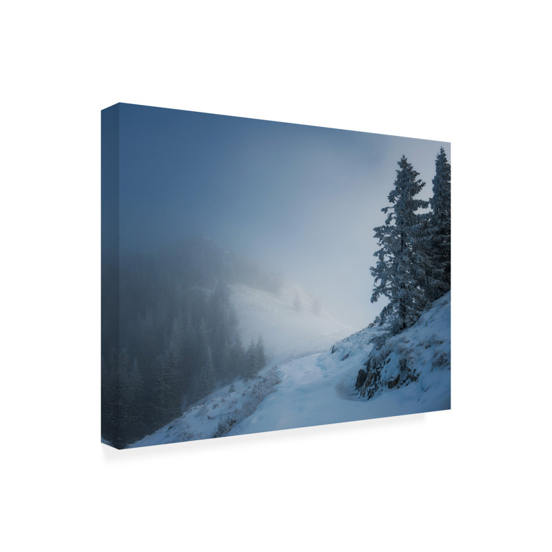 Marei   Wallberg Glow Canvas Art, 35" H x 47" W