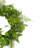 Maidenhair Fern and Assorted Foliage Spring Wreath Green 23"
