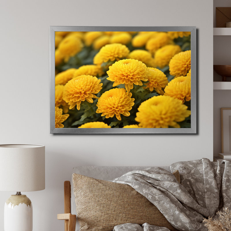 «Yellow Mums in Bloom I» sur toile, Cadre simple argenté, H 12 po x l 20 po x P 1 po