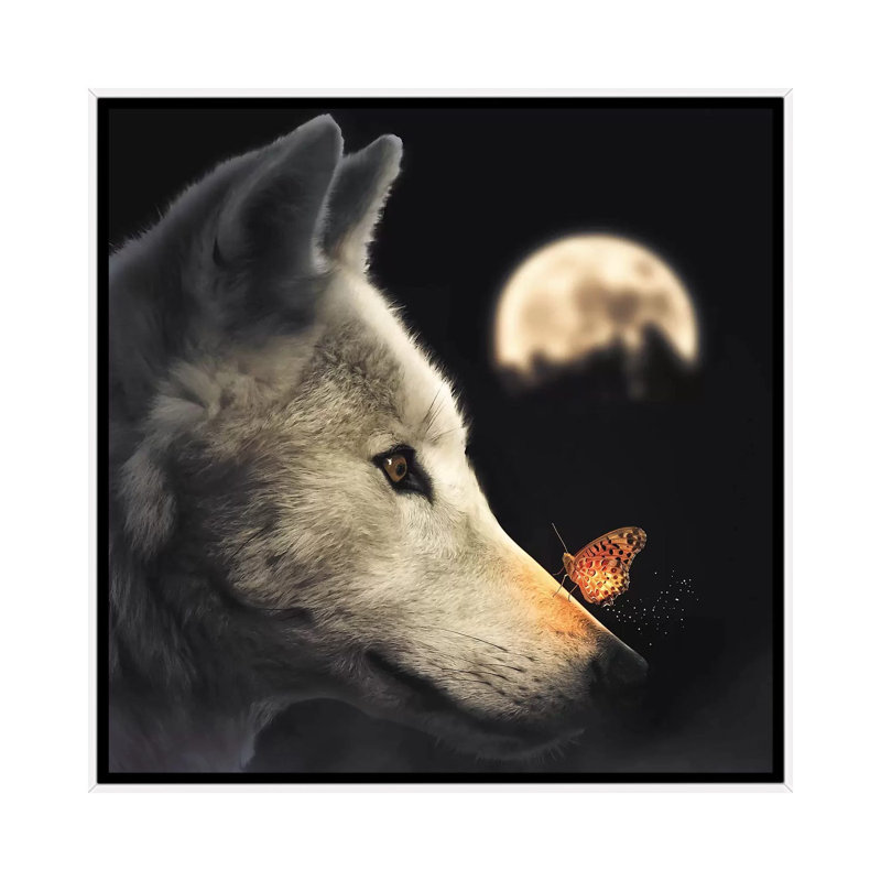 The Wolf & Glowing Butterfly by Zenja Gammer - Print on Canvas, 45.72 cm H x 45.72 cm W, White Framed