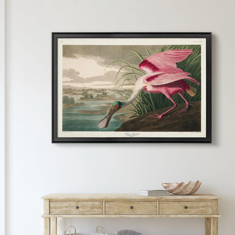 " Roseate Spoonbill ", Black, 26.5" H x 36.5" W x 1" D