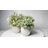 Digby Artificial Plant in White Pot Set