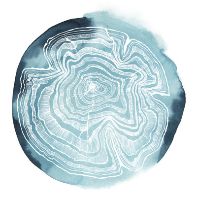 Tree Ring Overlay IV by Grace Popp - Wrapped Canvas Painting