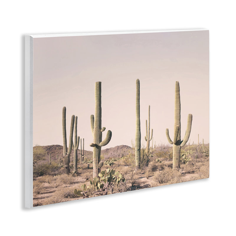 «Blush Cactus Field» par Sissi et Seb