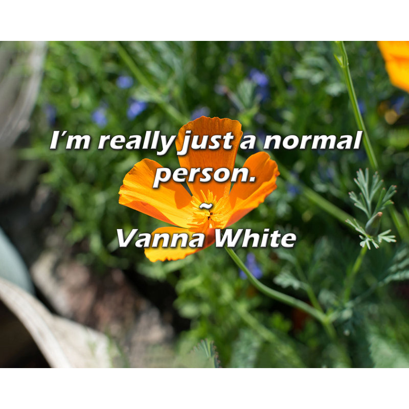 Citation de Vanna White: Je ne suis vraiment qu'une personne normale.