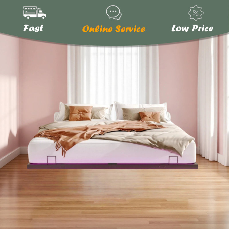 Queen Size Floating Bed Frames With LED Lights, Metal Platform Bed , Solid And Stable, Noise Free, No Box Spring Needed, Easy Assembly