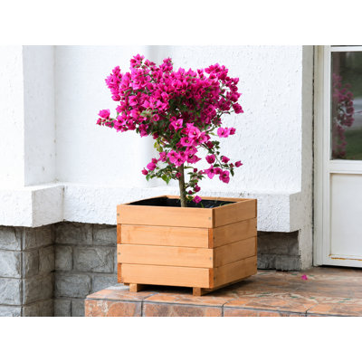 40"w Planter Box