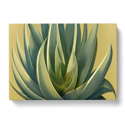Lush Aloe Vera Plant - Wrapped Canvas