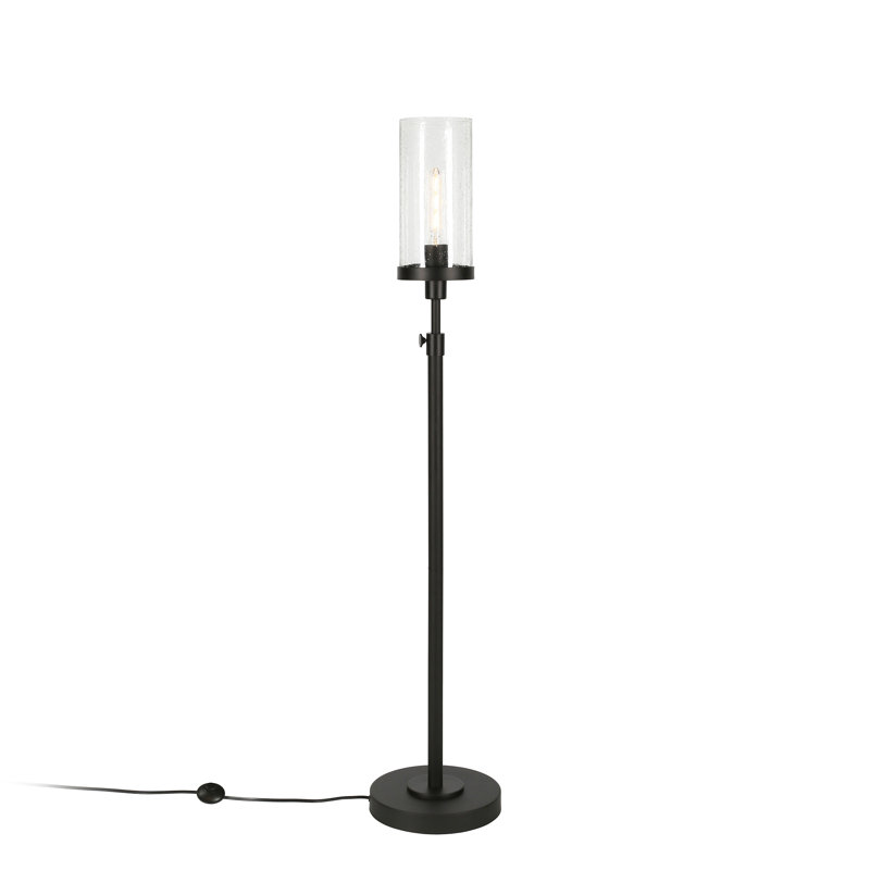 Frieda 54.5'' Torchiere Floor Lamp, Polished Nickel, Clear