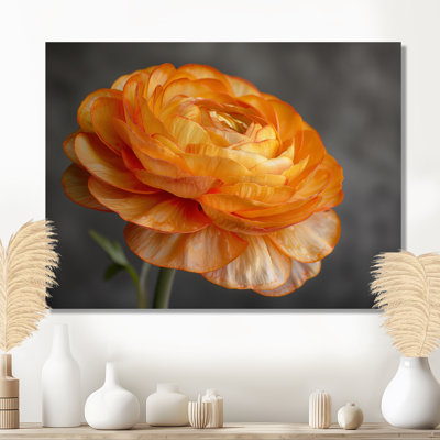 Décoration murale orange et noir Ranunculus Bloom I - Renoncule