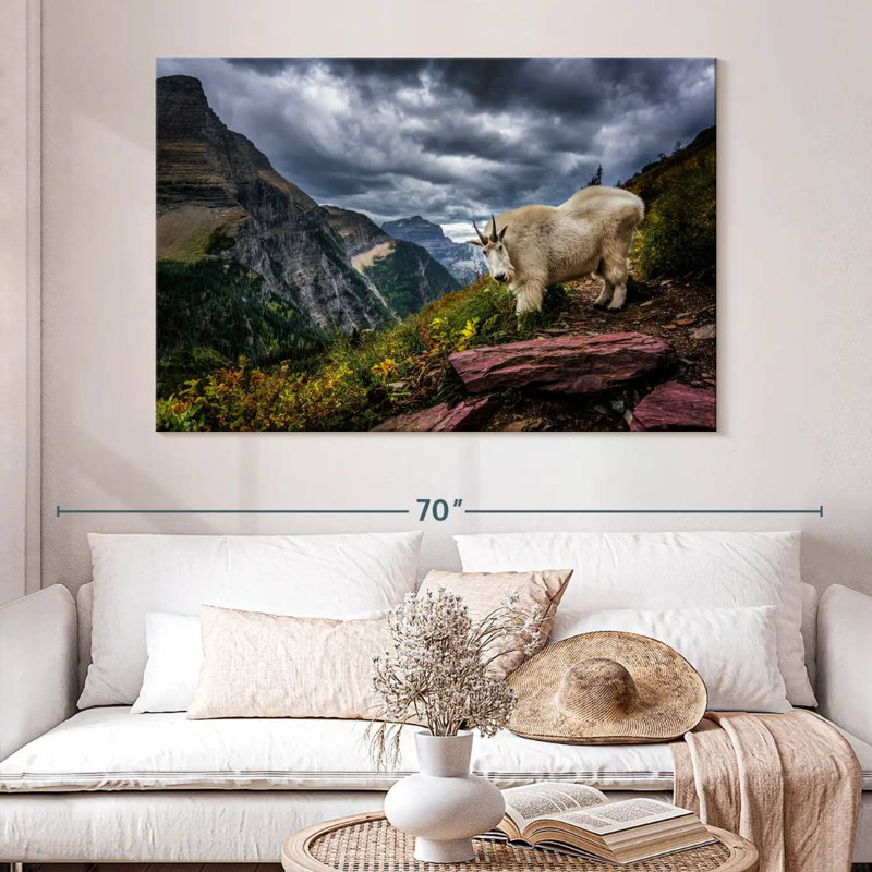 Brampt Rocky Mountain Goat