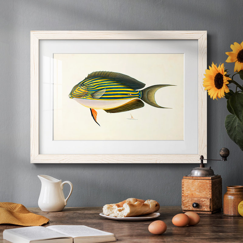 Collection de poissons tropicaux I, Blanc, H 28 po x l 42 po