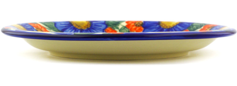 Stoneware Dinner Plate