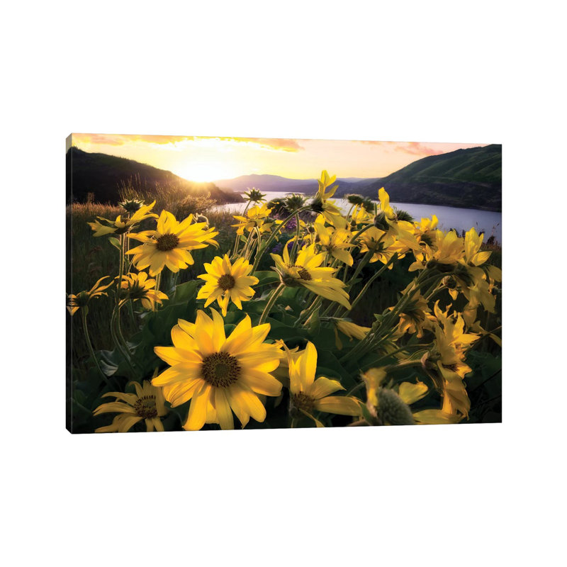 Columbia Flora by Dennis Frates - Print on Canvas, 66.04cm H x 101.6cm W x 3.81cm D, Wrapped Canvas