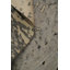 Tapis abstrait 7 x 10