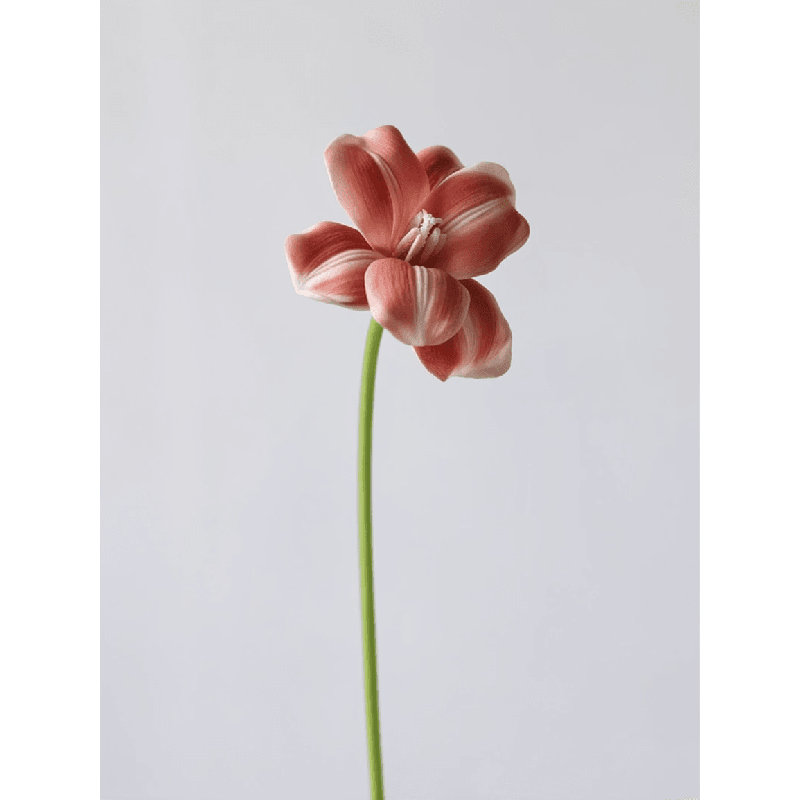 Tige de tulipe Heritage - 19,5 po, Ocre doré, [A] 1 tige