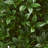 4ft. Bay Leaf Artificial Topiary Tree UV Resistant (Indoor/Outdoor)