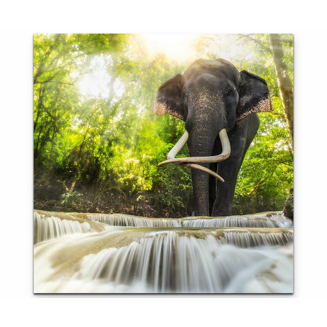 Leinwandbild Elefant an den Erawan Wasserfällen in Thailand