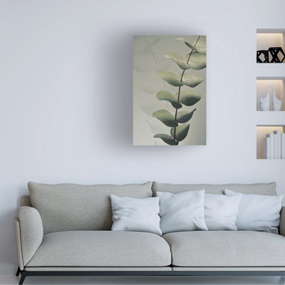 Modern & Contemporary