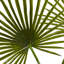 Arrangement de palmier 29,5 "dans un vase décoratif