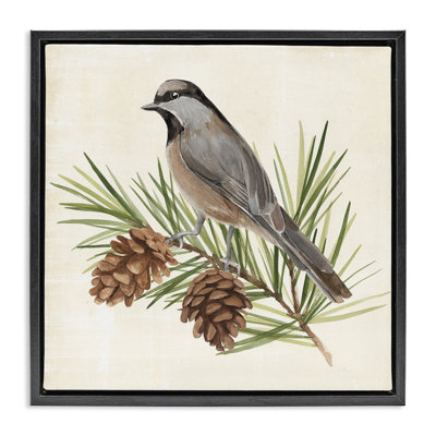 Oiseau sur pin