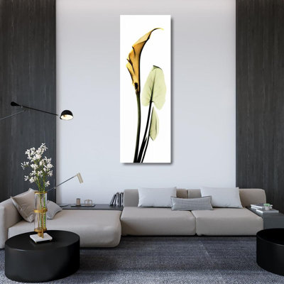 Red Barrel Studio® Koetsier, Albert Gallery Wrapped Canvas Art Titled: Calla Lily in Gold