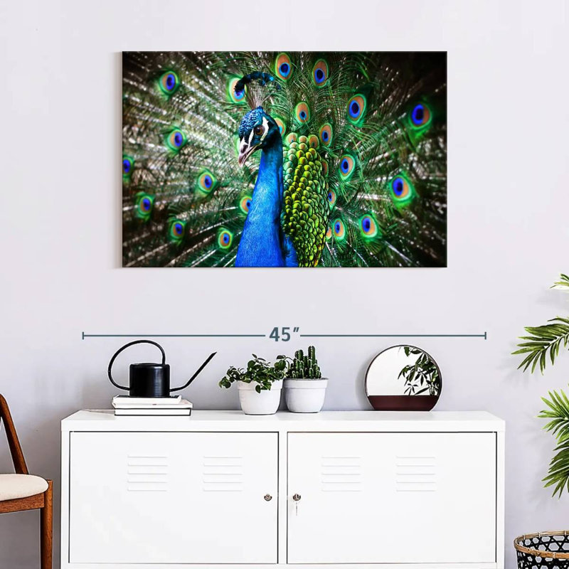 Brampt Peacock Show, 24" H x 36" W