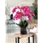 Orchidée en fleurs dans un vase-68766511