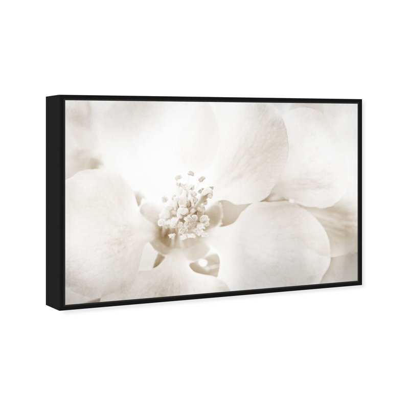 «Floral and Botanical Orchid Love», reproduction d'art graphique sur toile, H 30 po x l 45 po, Impression encadrée, Noir